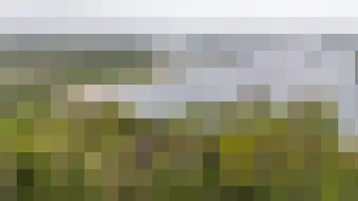 Groningerweg 99 Eelderwolde thumbnail 42