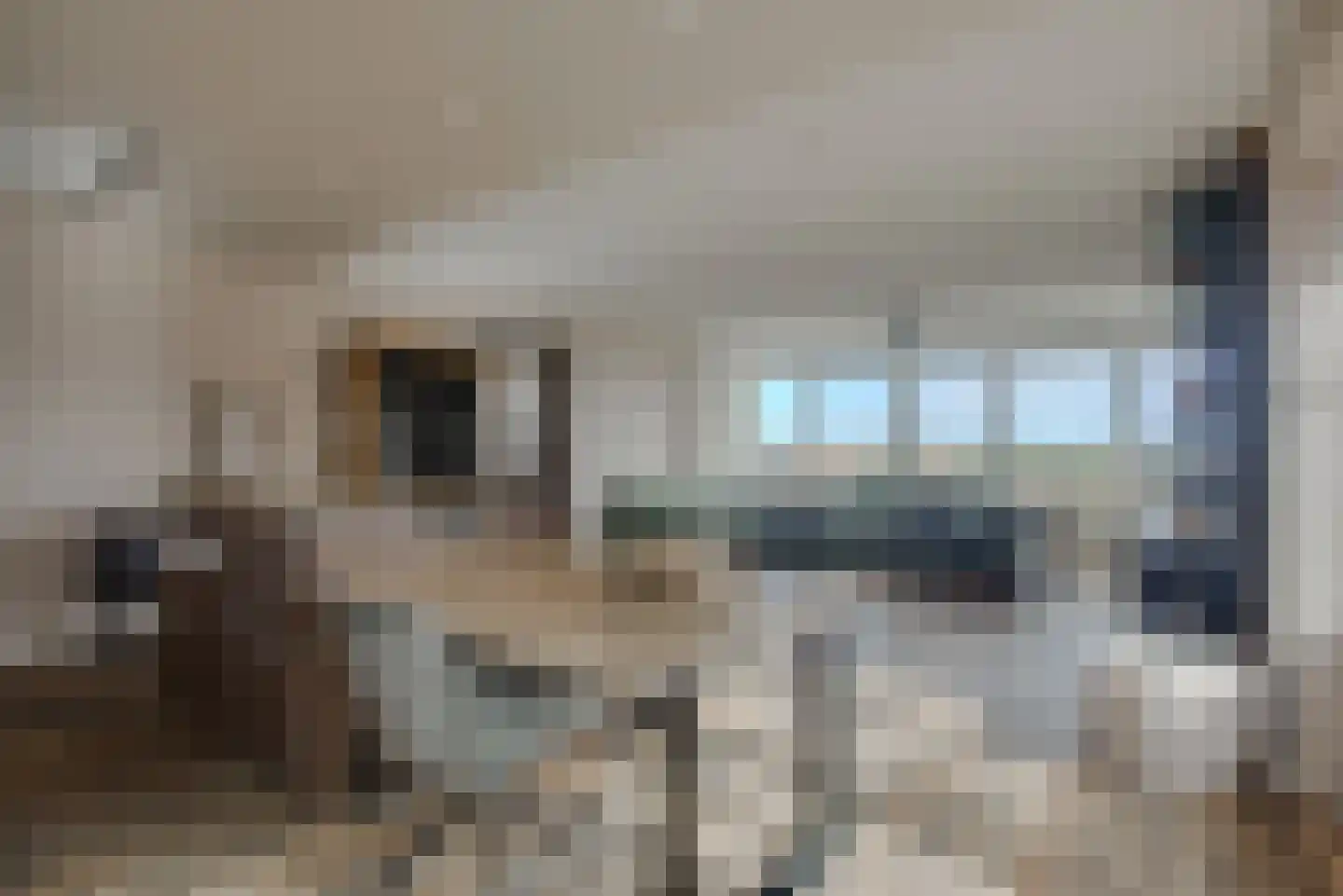 Groningsestraat 101 Den Haag thumbnail 12