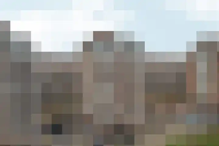 Groningsestraat 137 Den Haag thumbnail 6