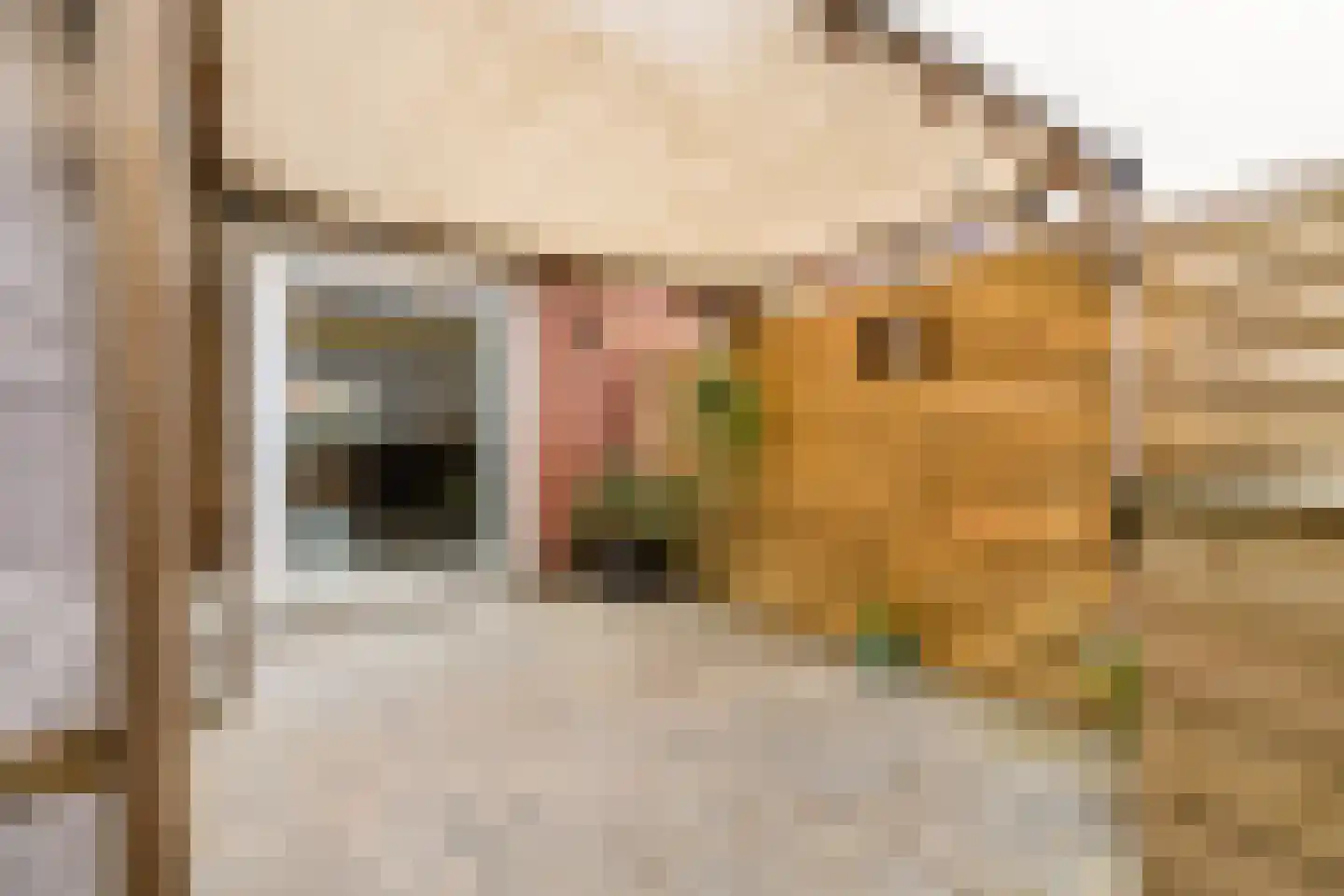 Groningsestraat 25 Den Haag thumbnail 22