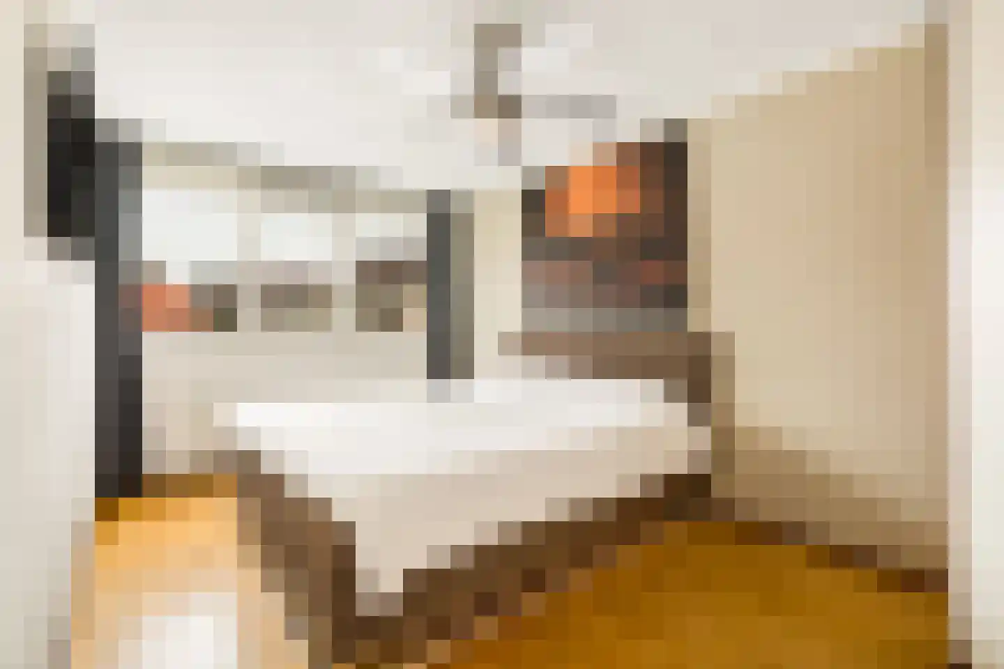 Groningsestraat 25 Den Haag thumbnail 38