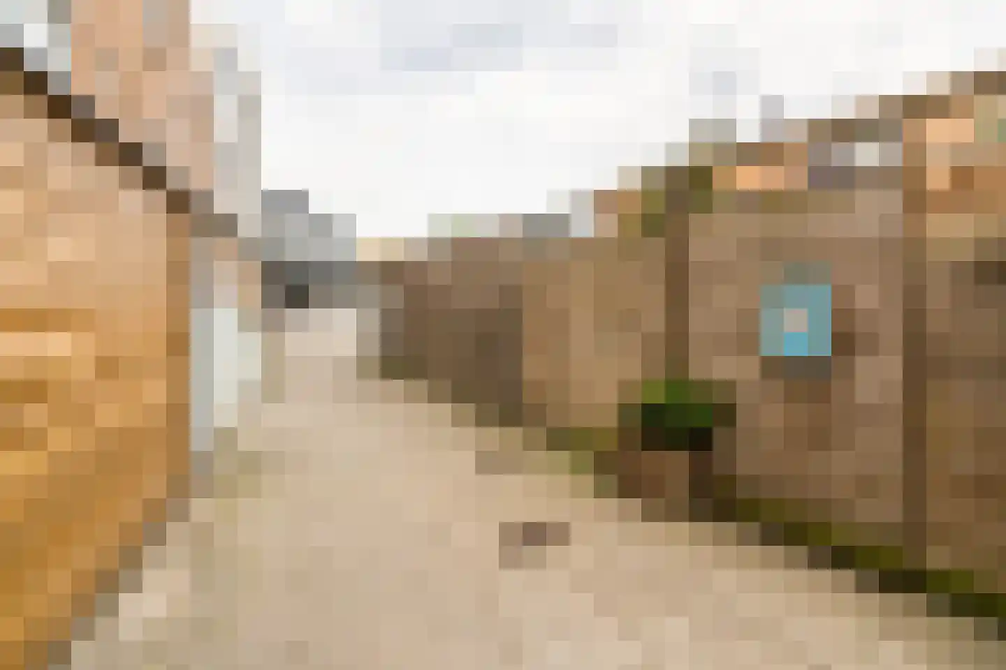 Groningsestraat 25 Den Haag thumbnail 48