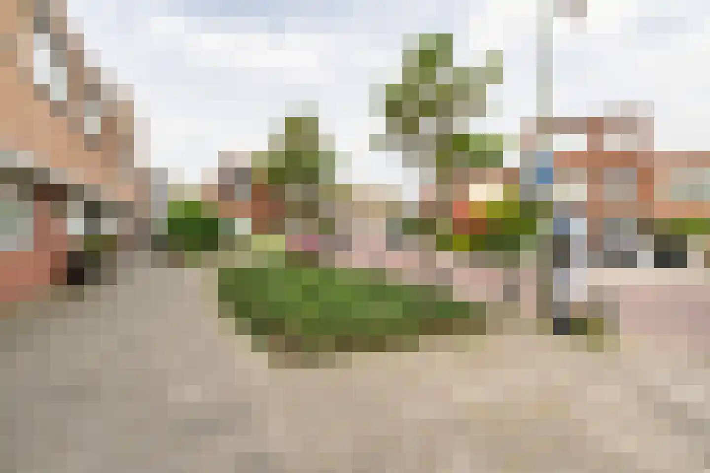 Groningsestraat 25 Den Haag thumbnail 6