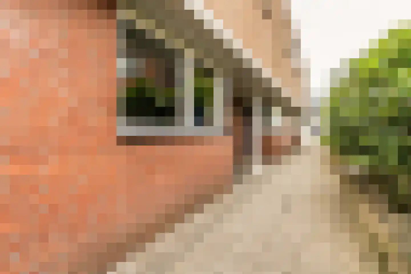 Groningsestraat 25 Den Haag thumbnail 8