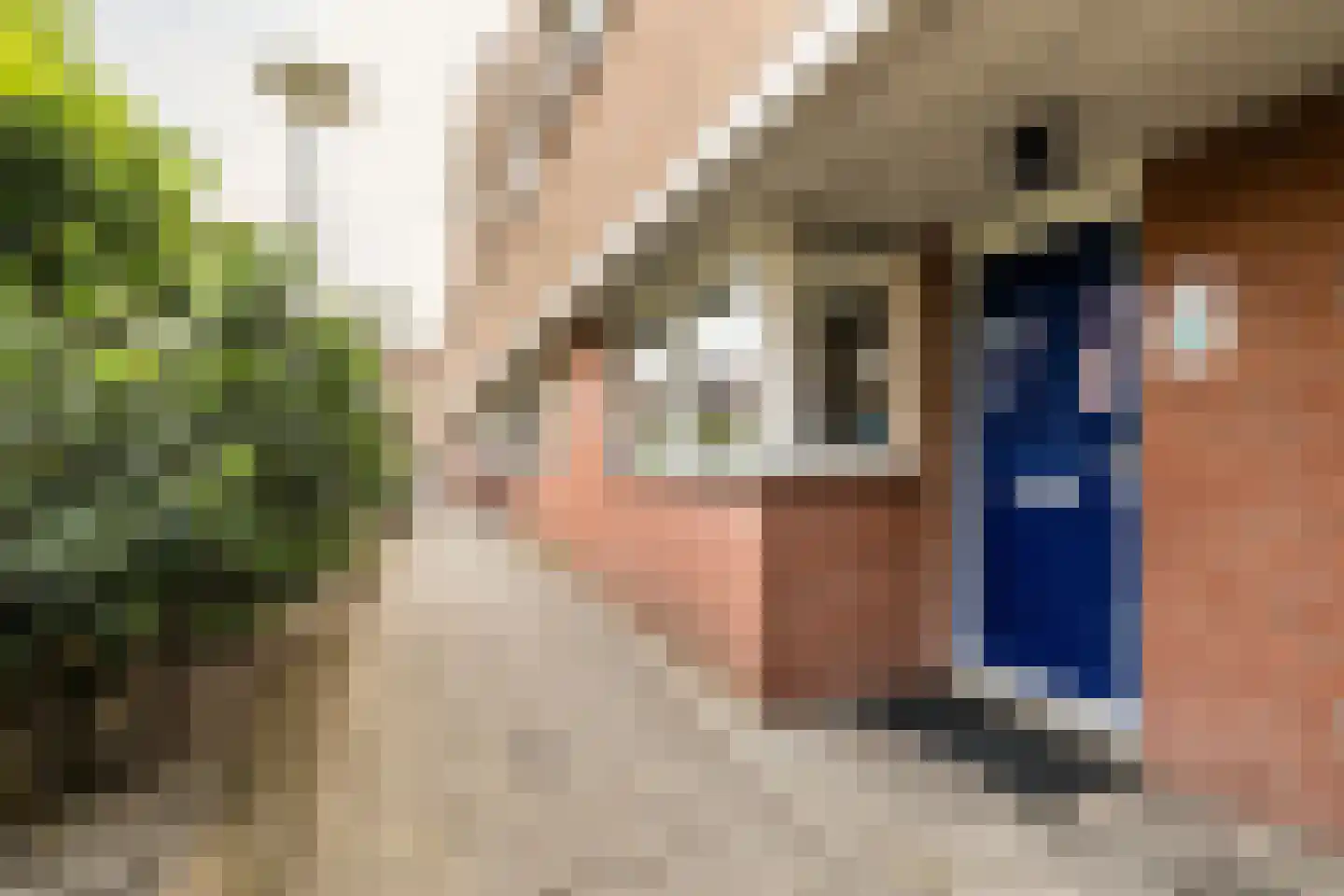 Groningsestraat 25 Den Haag thumbnail 9