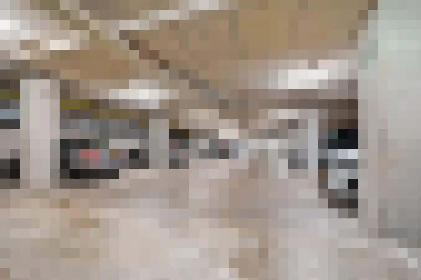 Groningsestraat 347 Den Haag thumbnail 5