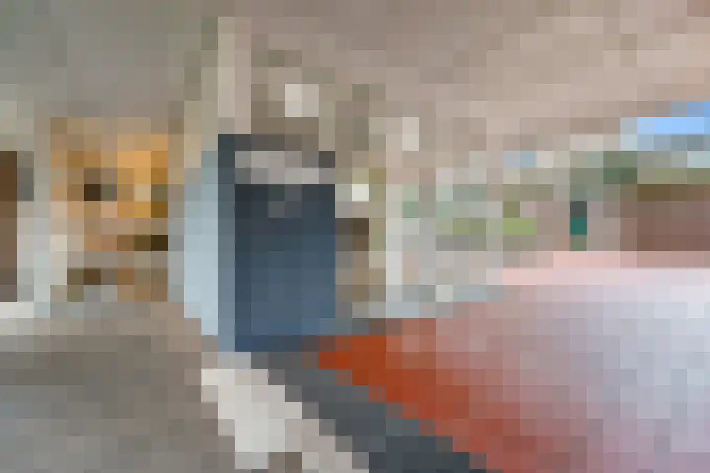 Groningsestraat 347 Den Haag thumbnail 8
