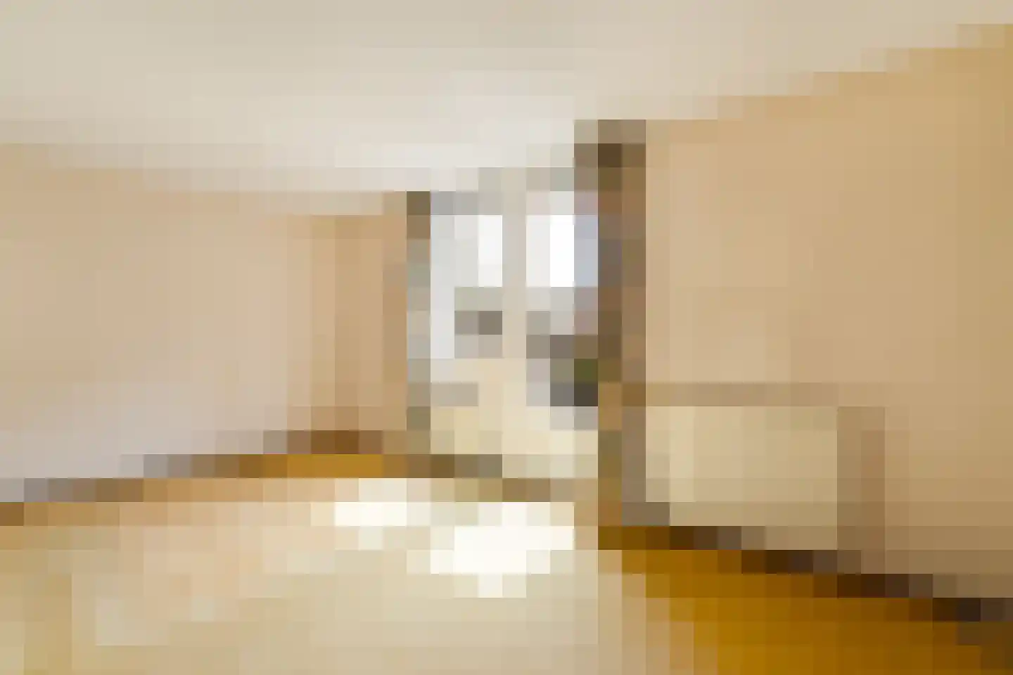 Groningsestraat 35 Den Haag thumbnail 36