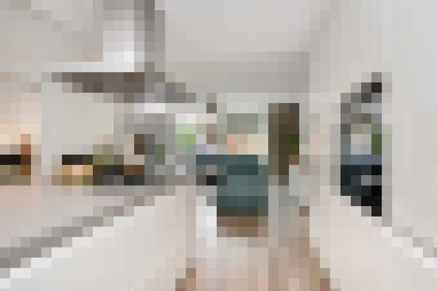 Groningsestraat 39 Den Haag thumbnail 12