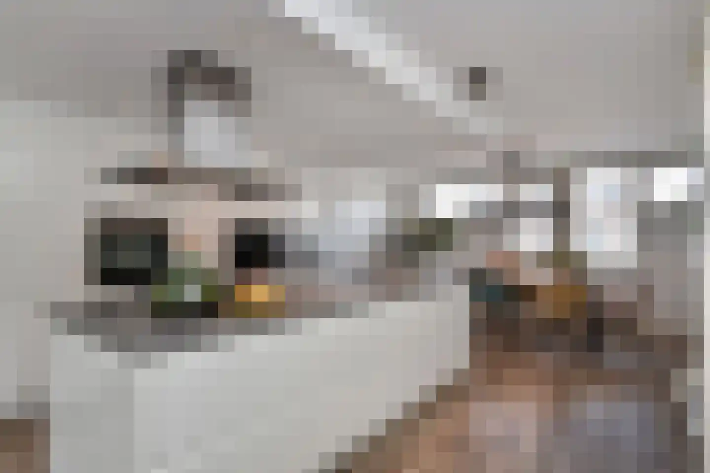 Groningsestraat 39 Den Haag thumbnail 19