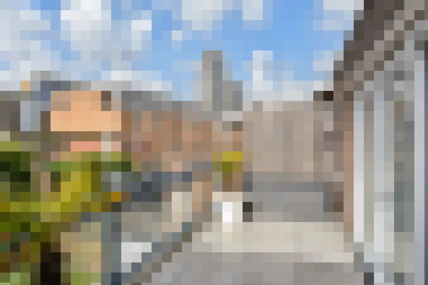 Groningsestraat 39 Den Haag thumbnail 26