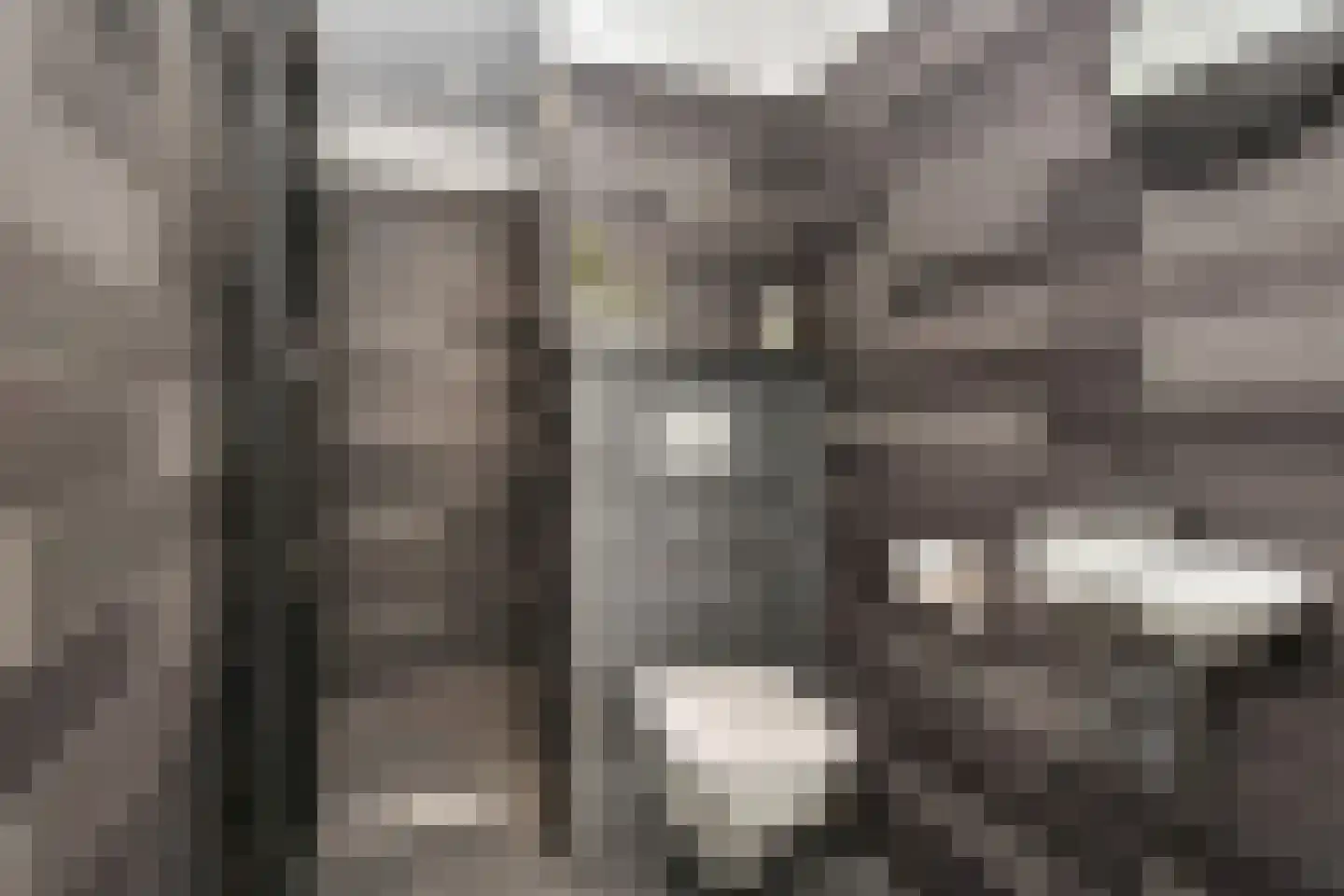 Groningsestraat 39 Den Haag thumbnail 7