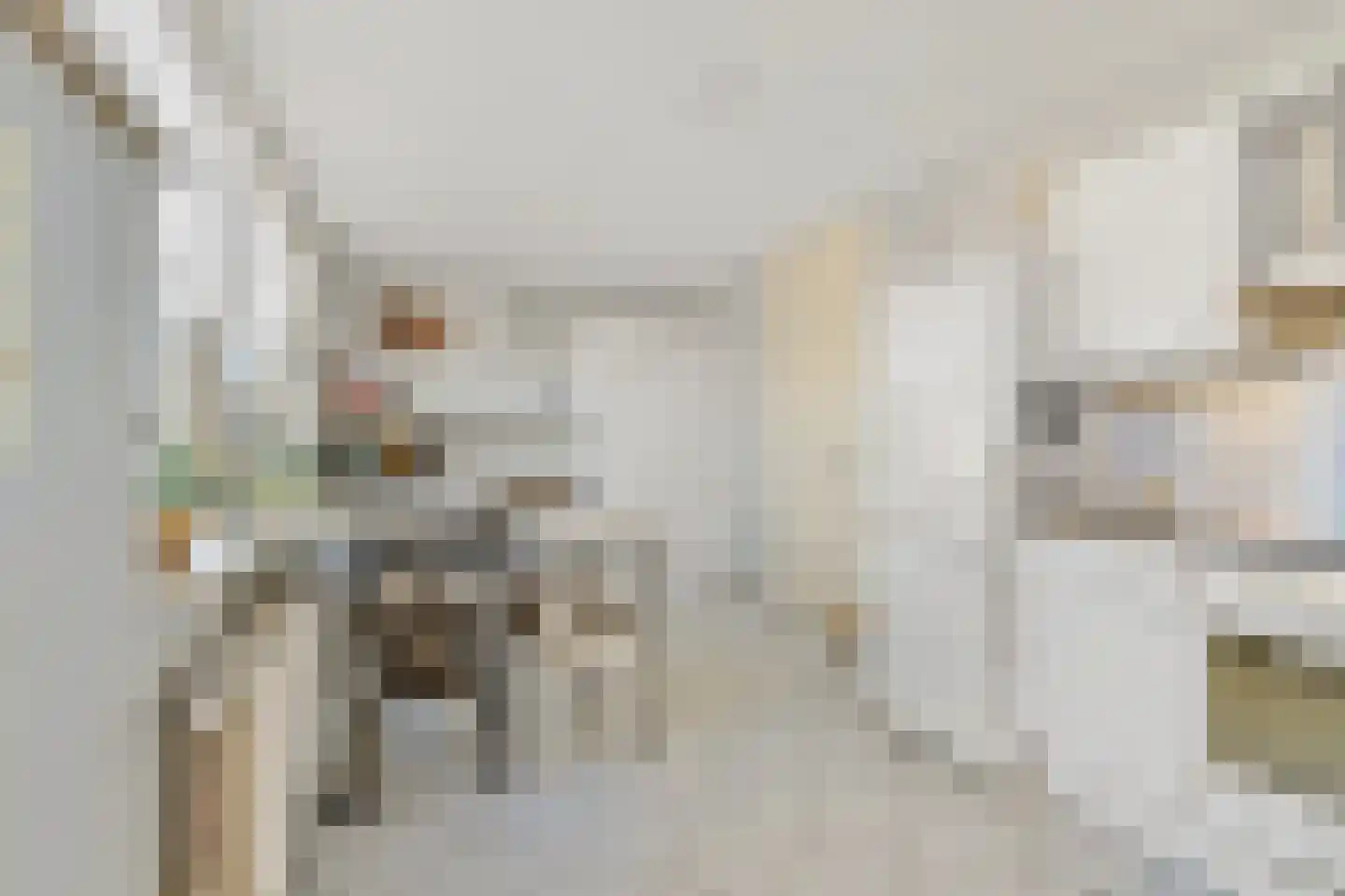 Groningsestraat 51 Den Haag thumbnail 19