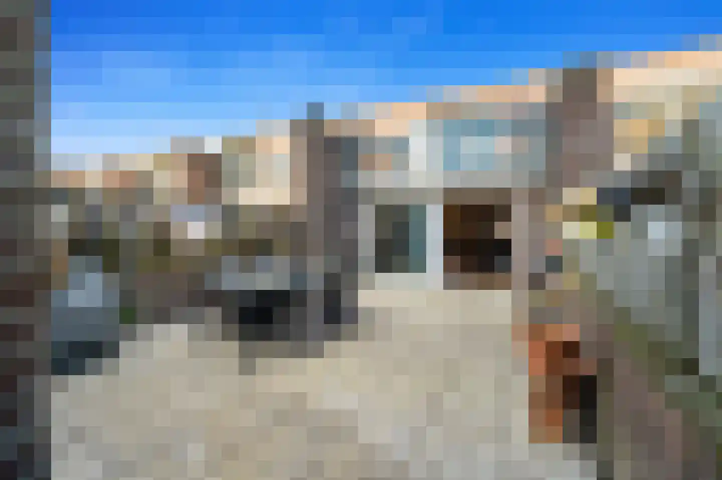 Groningsestraat 51 Den Haag thumbnail 4