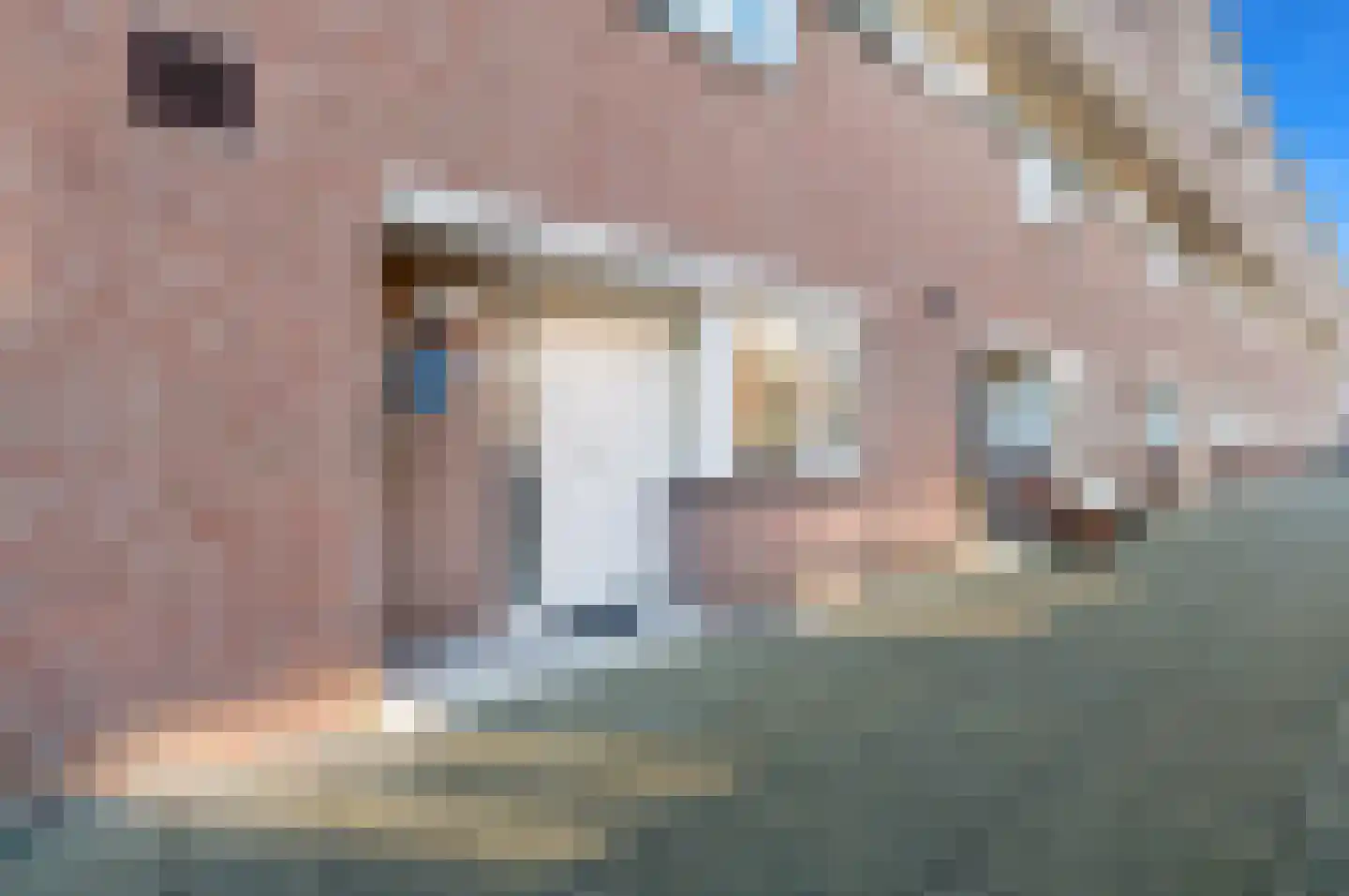 Groningsestraat 51 Den Haag thumbnail 7