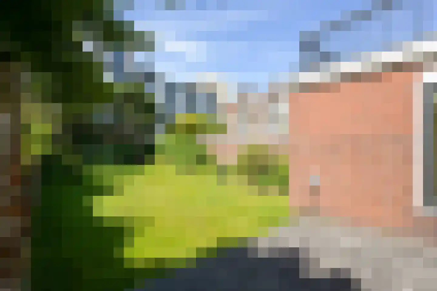 Groningsestraat 7 Den Haag thumbnail 23
