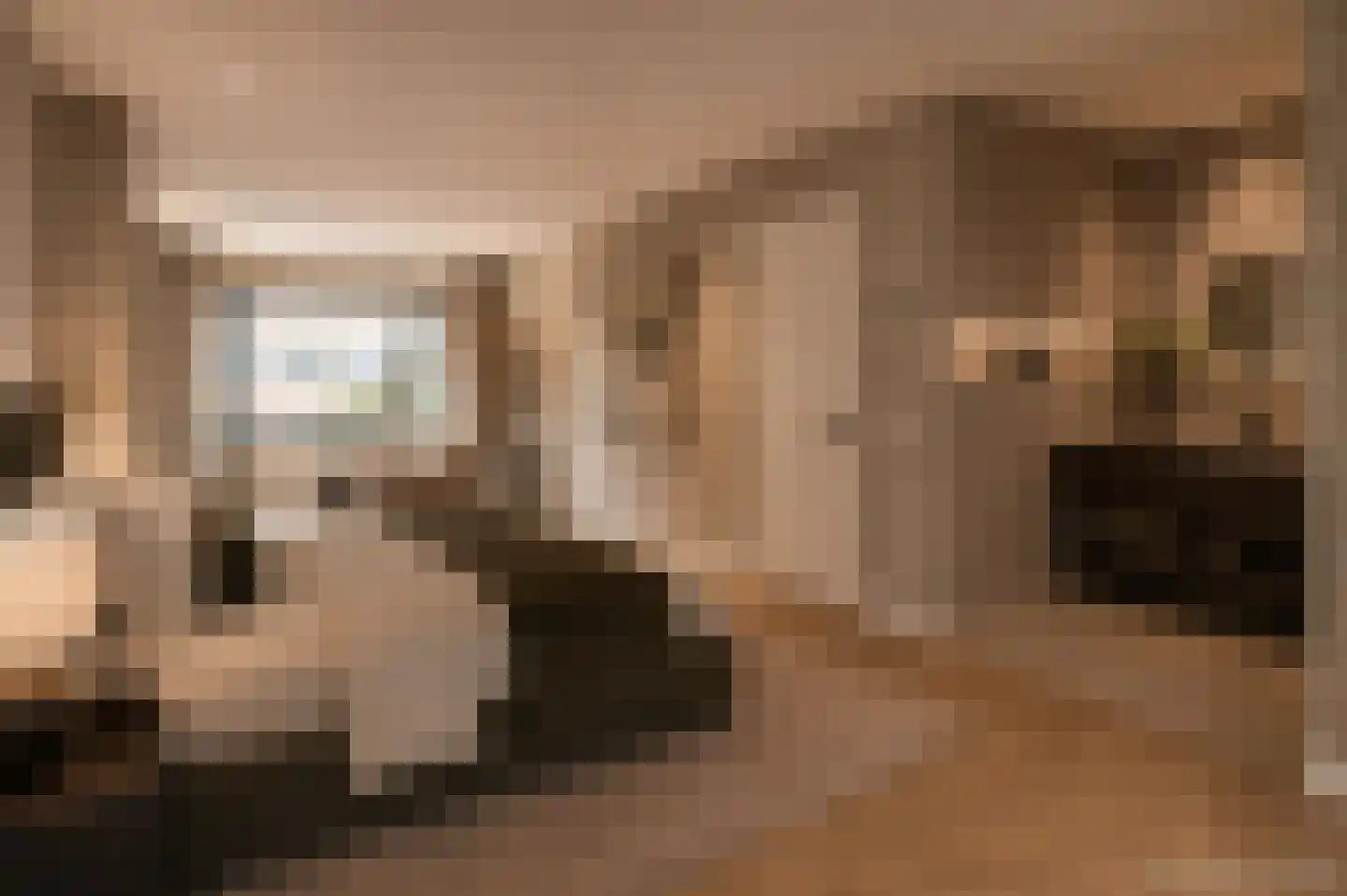 Groningsestraat 7 Den Haag thumbnail 30