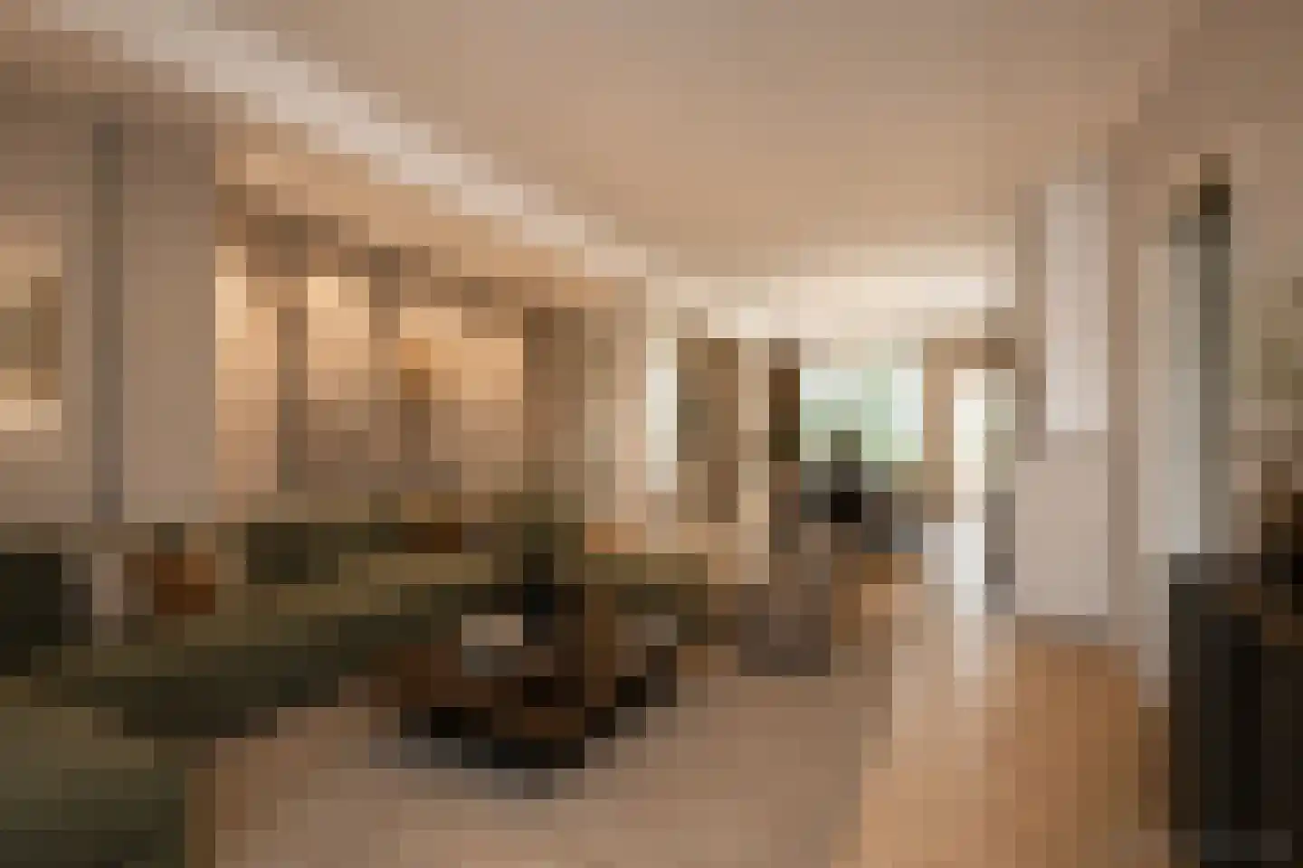 Groningsestraat 7 Den Haag thumbnail 4