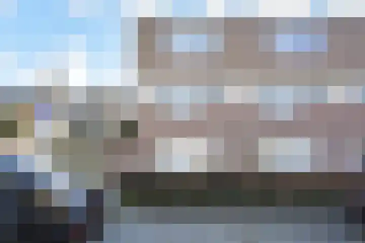 Groningsestraat 87 Den Haag thumbnail 4