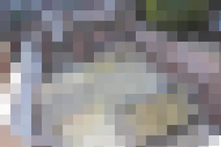 Groningsestraat 87 Den Haag thumbnail 42