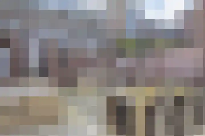 Groningsestraat 87 Den Haag thumbnail 43