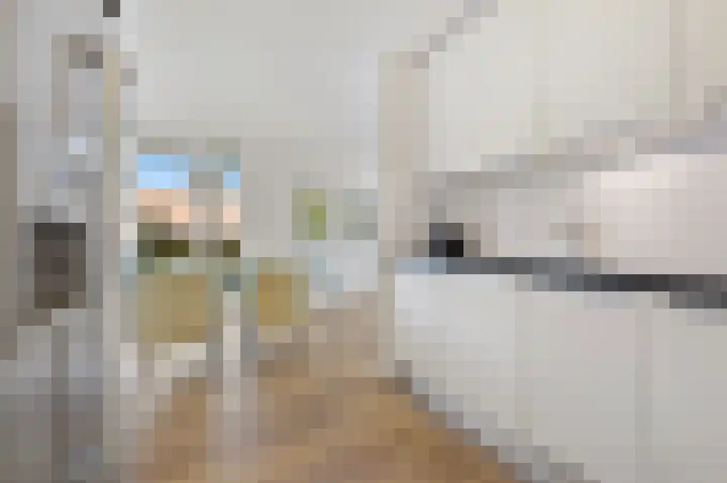 Groningsestraat 95 Den Haag thumbnail 24