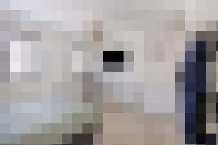 Gronsvelderf 95 Rotterdam thumbnail 16