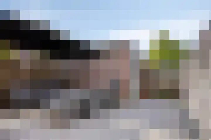 Gronsvelderf 95 Rotterdam thumbnail 28