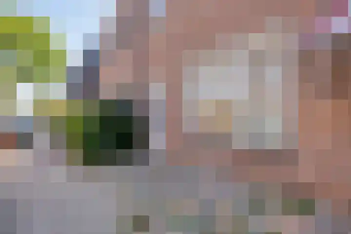 Gronsvelderf 95 Rotterdam thumbnail 5