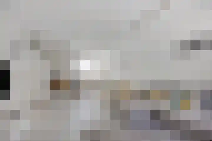Gronsvelderf 95 Rotterdam thumbnail 8
