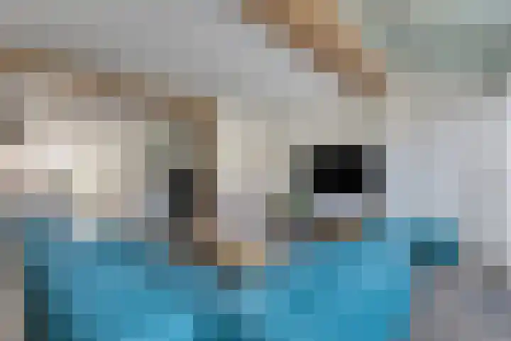 Gronsveldlaan 19 Tilburg thumbnail 13