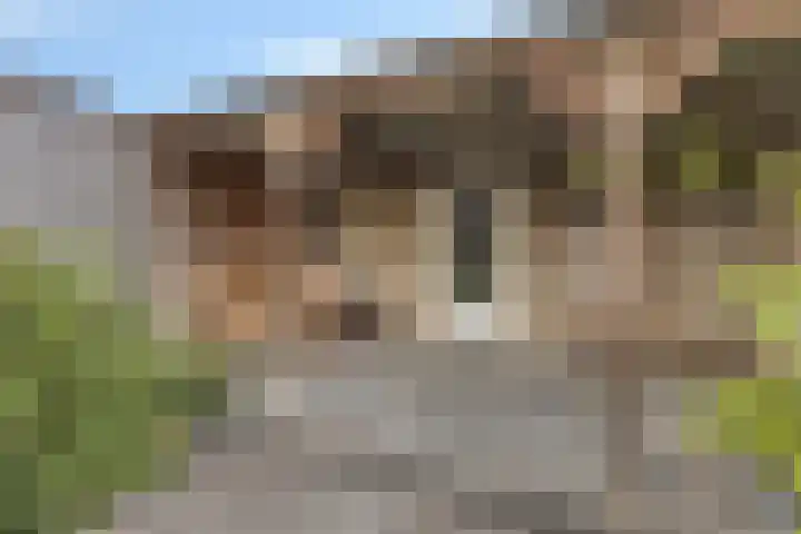 Gronsveldlaan 19 Tilburg thumbnail 35