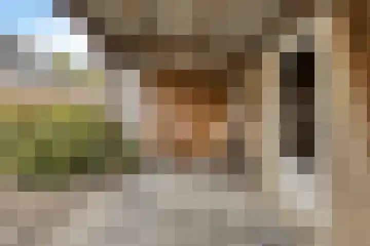 Gronsveldlaan 19 Tilburg thumbnail 37