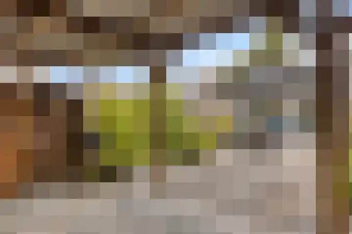 Gronsveldlaan 19 Tilburg thumbnail 39