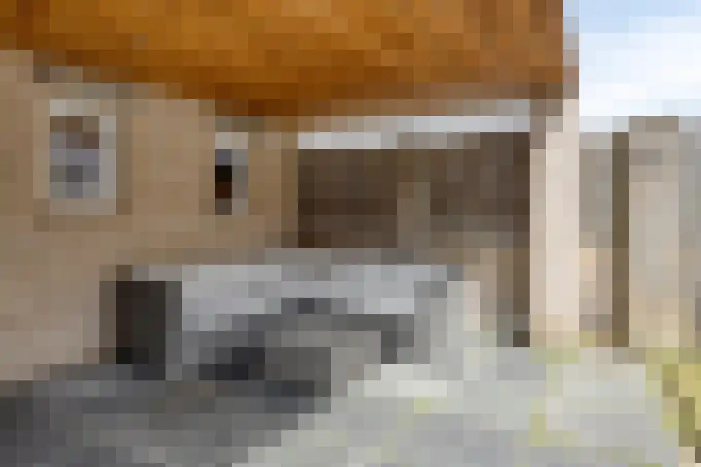 Gronsveldlaan 29 Tilburg thumbnail 32