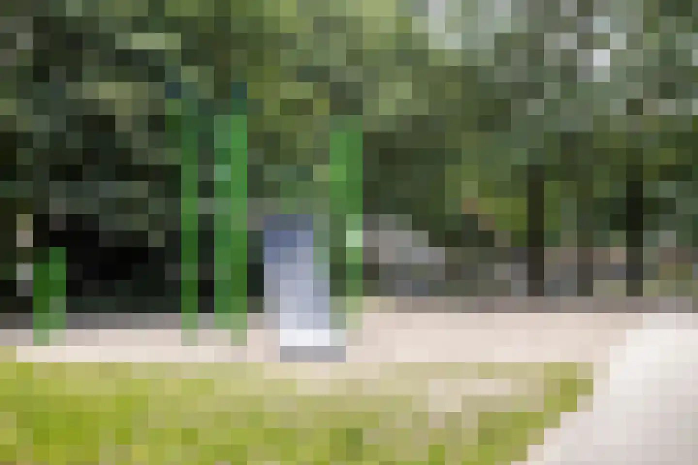 Gronsveldlaan 29 Tilburg thumbnail 36