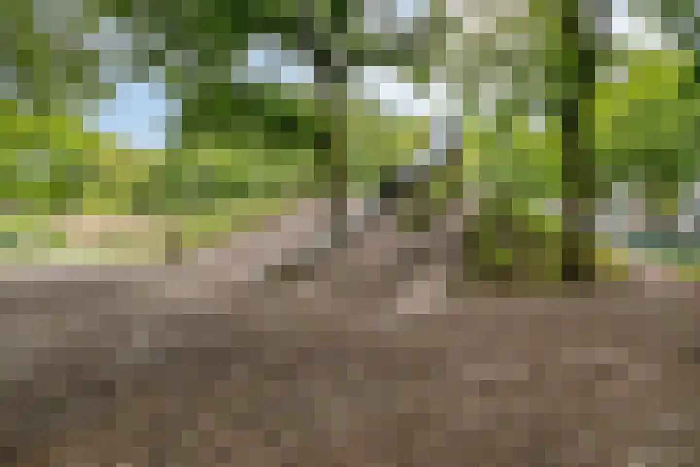Gronsveldlaan 33 Tilburg thumbnail 32