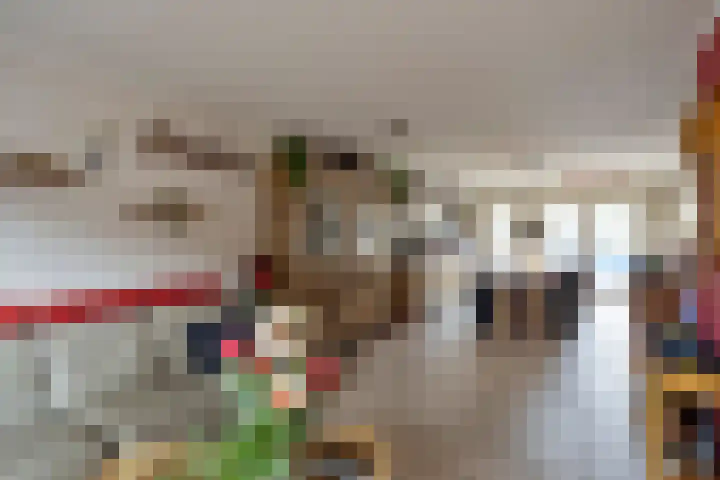 Gronsveldlaan 33 Tilburg thumbnail 4