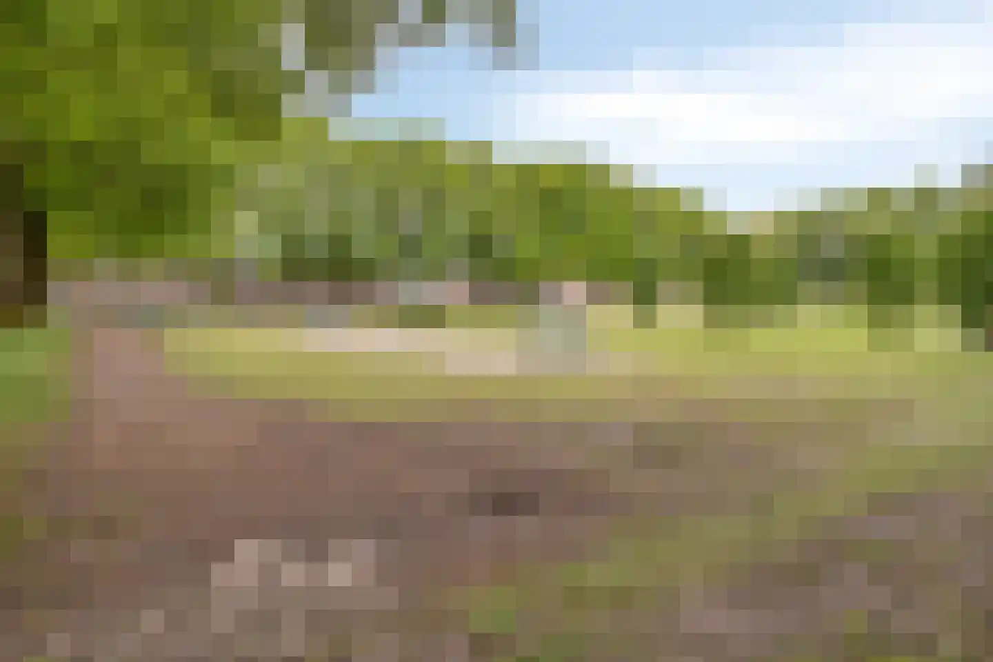 Gronsveldlaan 35 Tilburg thumbnail 47