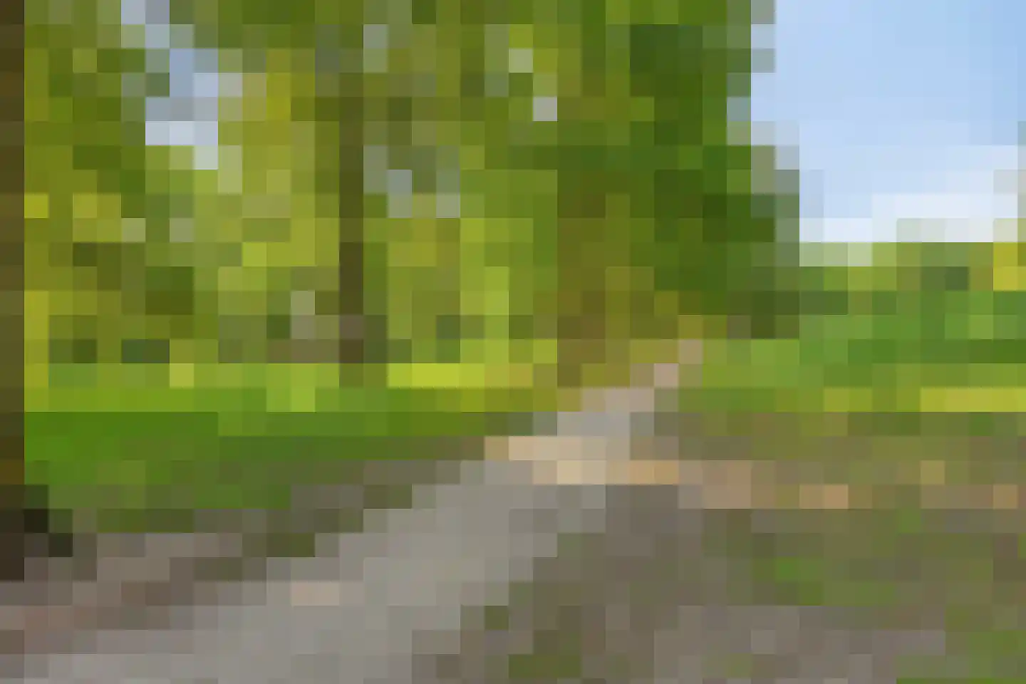 Gronsveldlaan 39 Tilburg thumbnail 41