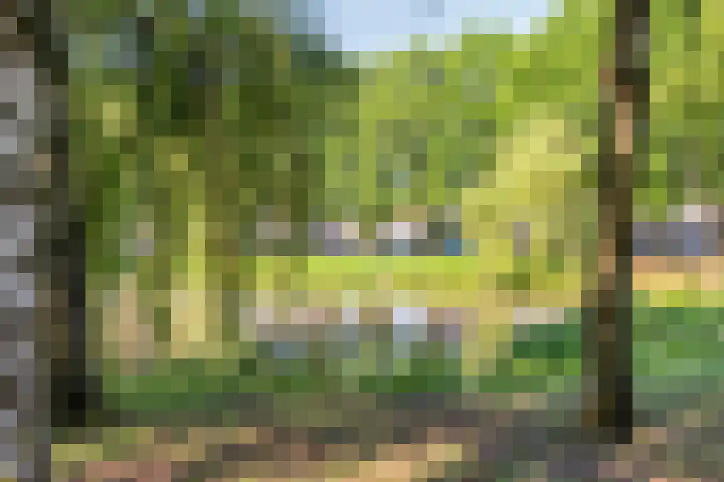 Gronsveldlaan 39 Tilburg thumbnail 46