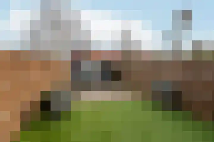 Gronsveldstraat 17 Arnhem thumbnail 33