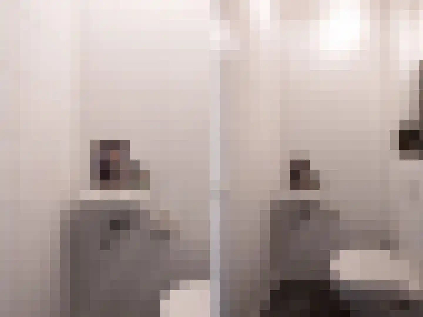 Groot Agteveldlaan 25 Achterveld thumbnail 11