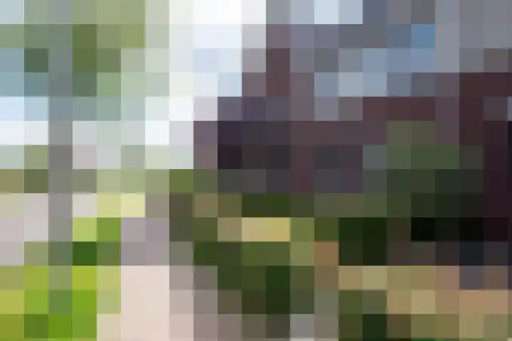 Groot Agteveldlaan 25 Achterveld thumbnail 27