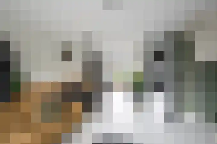 Groot Agteveldlaan 25 Achterveld thumbnail 5