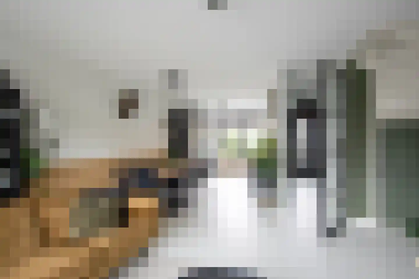 Groot Agteveldlaan 25 Achterveld thumbnail 5