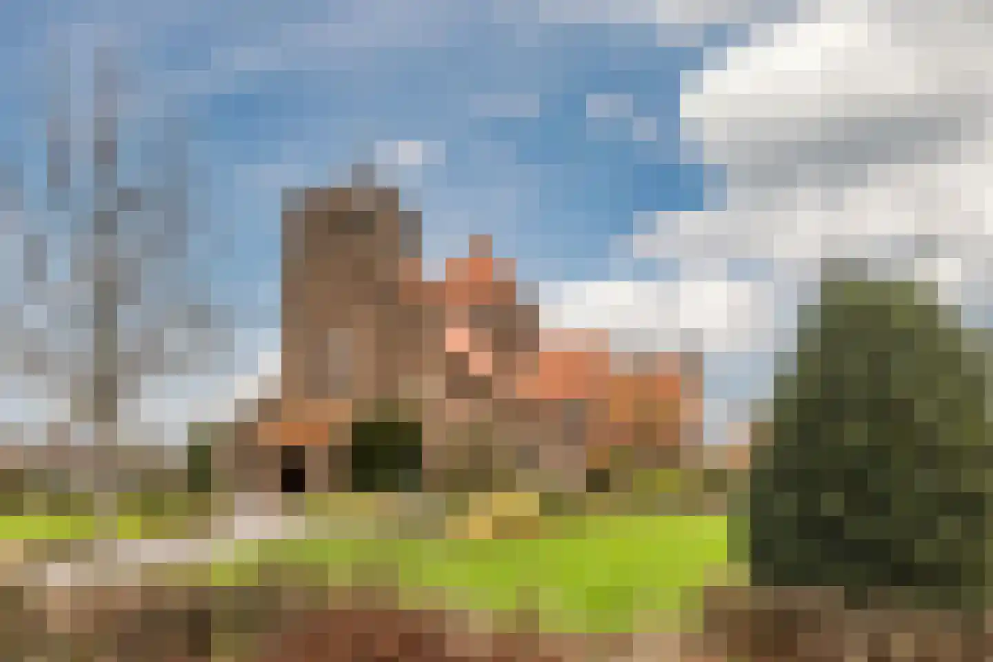 Groot Agteveldlaan 29 Achterveld thumbnail 34