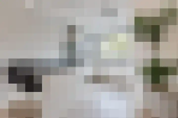 Groot Agteveldlaan 39 Achterveld thumbnail 13