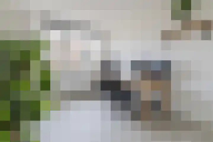 Groot Agteveldlaan 39 Achterveld thumbnail 19