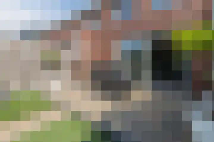 Groot Agteveldlaan 39 Achterveld thumbnail 36